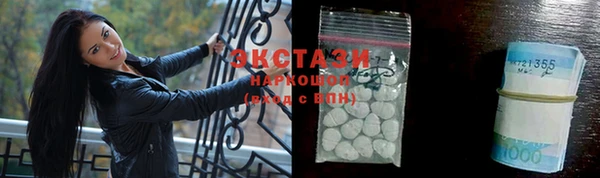хмурый Аркадак