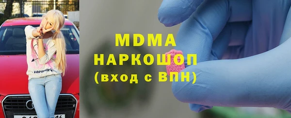 хмурый Аркадак