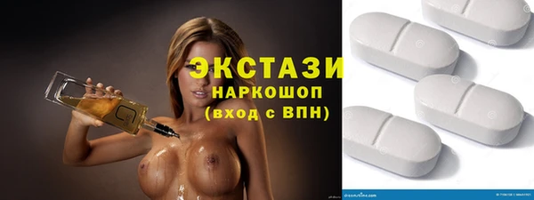 хмурый Аркадак