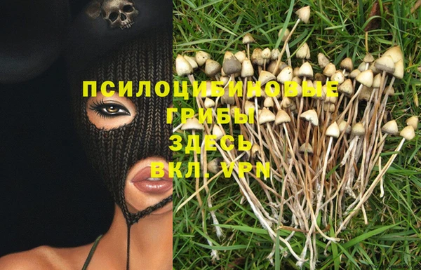 таблы Армянск