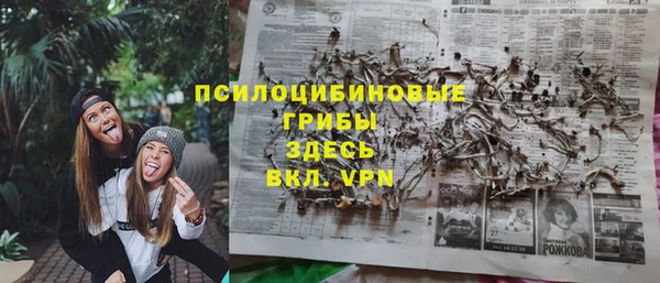 хмурый Аркадак