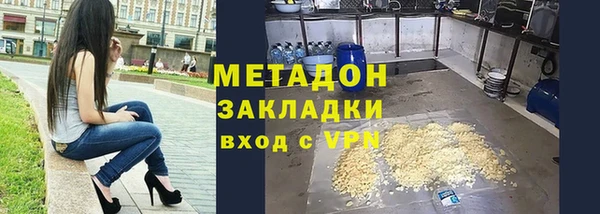хмурый Аркадак