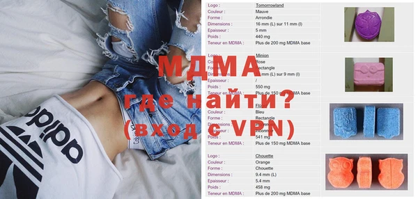хмурый Аркадак